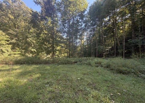 Photo of 0 Watia Rd, Almond, NC 28702 (MLS # 26048629)