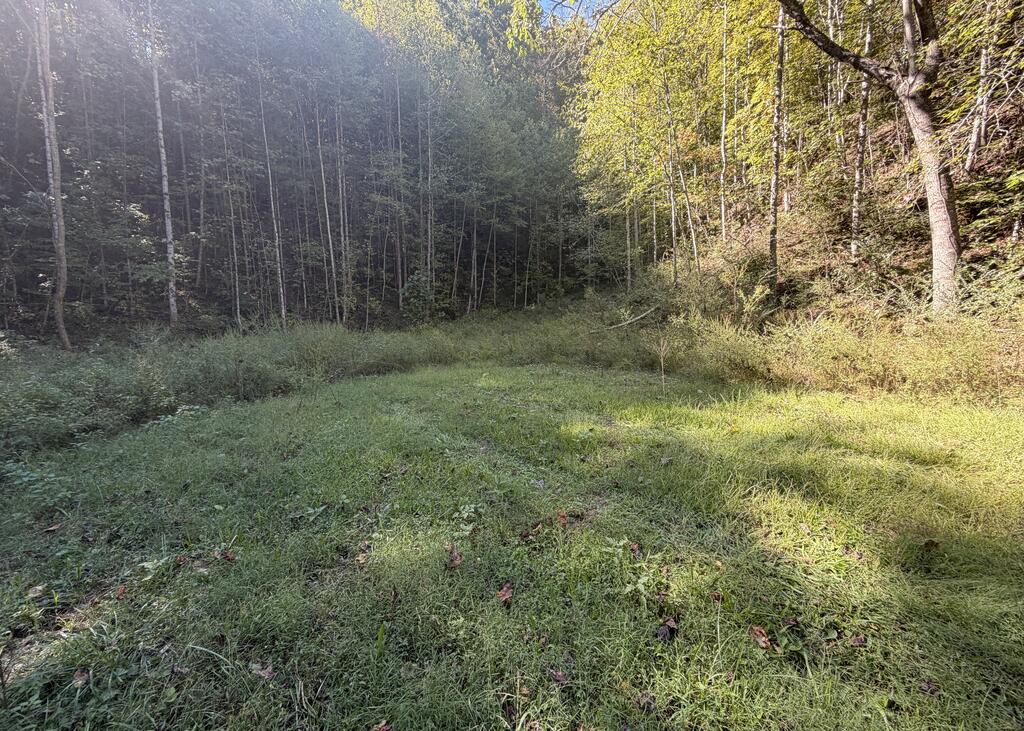 Photo of 0 Watia Rd, Almond, NC 28702 (MLS # 26048629)