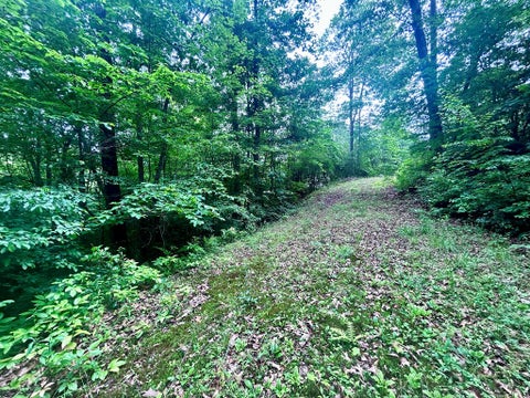 Photo of Lot 5 Antler Ridge Rd, Franklin, NC 28734 (MLS # 26047510)