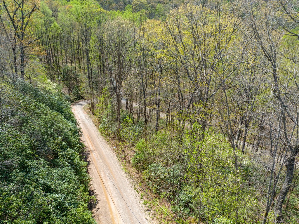 0 Wild Turkey Run