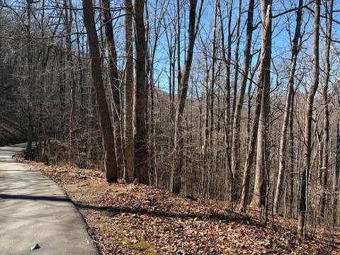 Photo of 00 Parker Farm Road, Franklin, NC 28734 (MLS # 26045264)