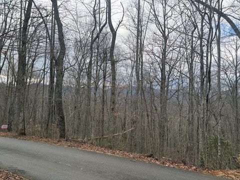 Photo of 00 Parker Farm Road, Franklin, NC 28734 (MLS # 26045264)