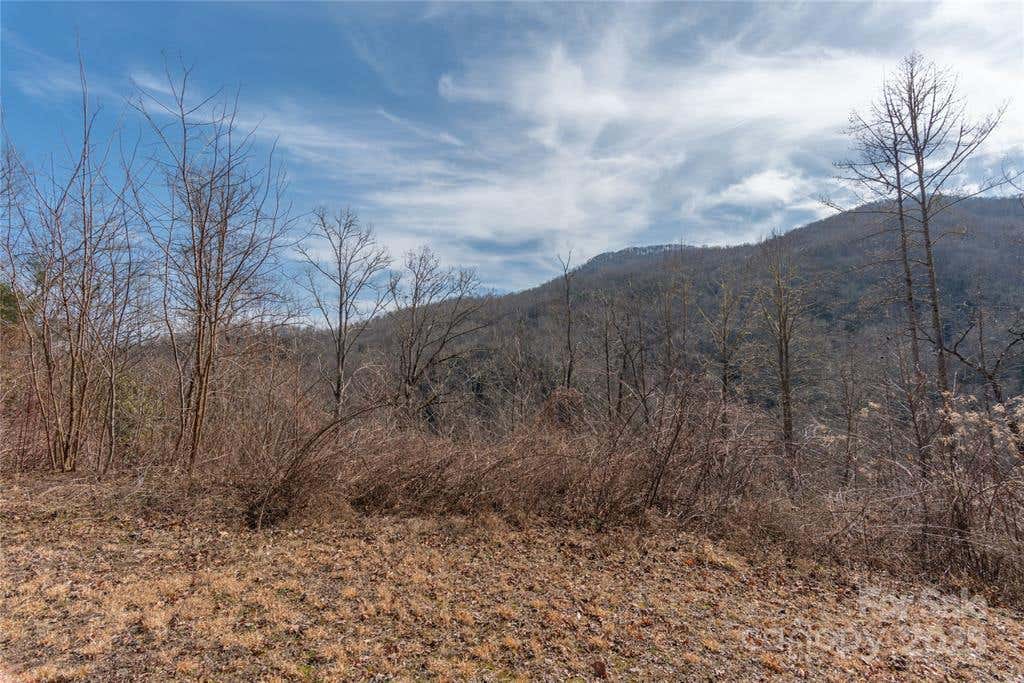 Photo of 2220 Tilley Creek Rd, Tracts 1 &amp; 2 RD, Cullowhee, NC 28723 (MLS # 26048216)