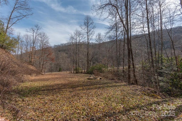 2220 TILLEY CREEK RD, CULLOWHEE, NC 28723 - Image 2359f53f3f2bdfd86f0e1785e0d251bf/3145370563