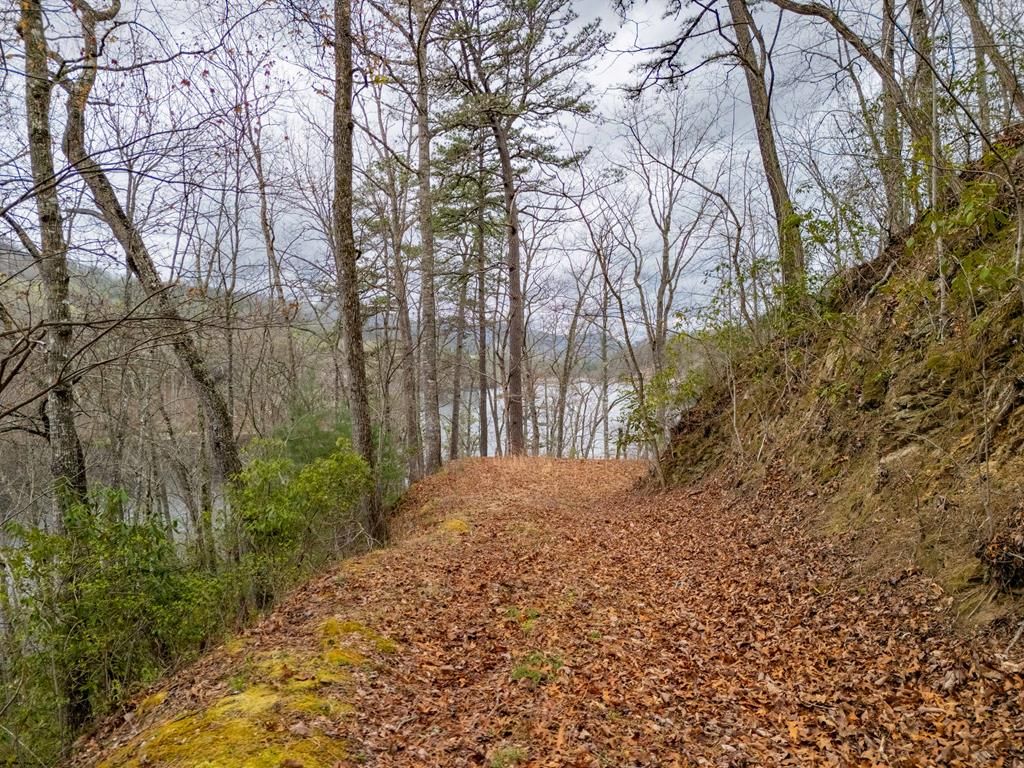 Photo of Lot 159 Songcatcher Court, Tuckasegee, NC 28783 (MLS # 26046847)