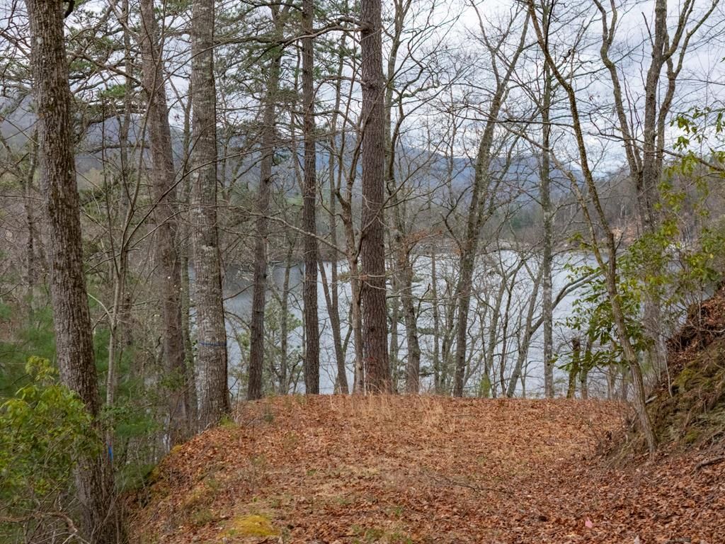 Photo of Lot 159 Songcatcher Court, Tuckasegee, NC 28783 (MLS # 26046847)