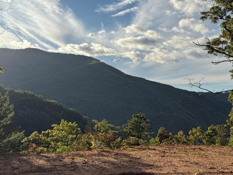 Photo of 536 Cardinal Bluff Drive, Whittier, NC 28789 (MLS # 26042763)