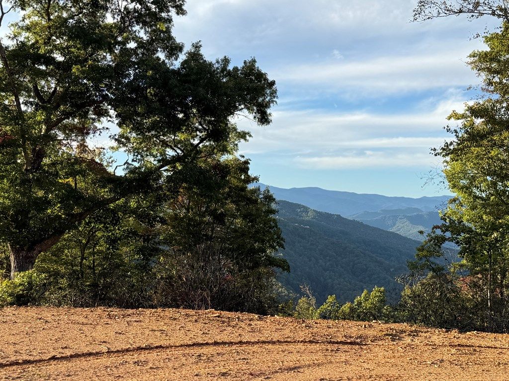 Photo of 536 Cardinal Bluff Road, Whittier, NC 28789 (MLS # 26042763)