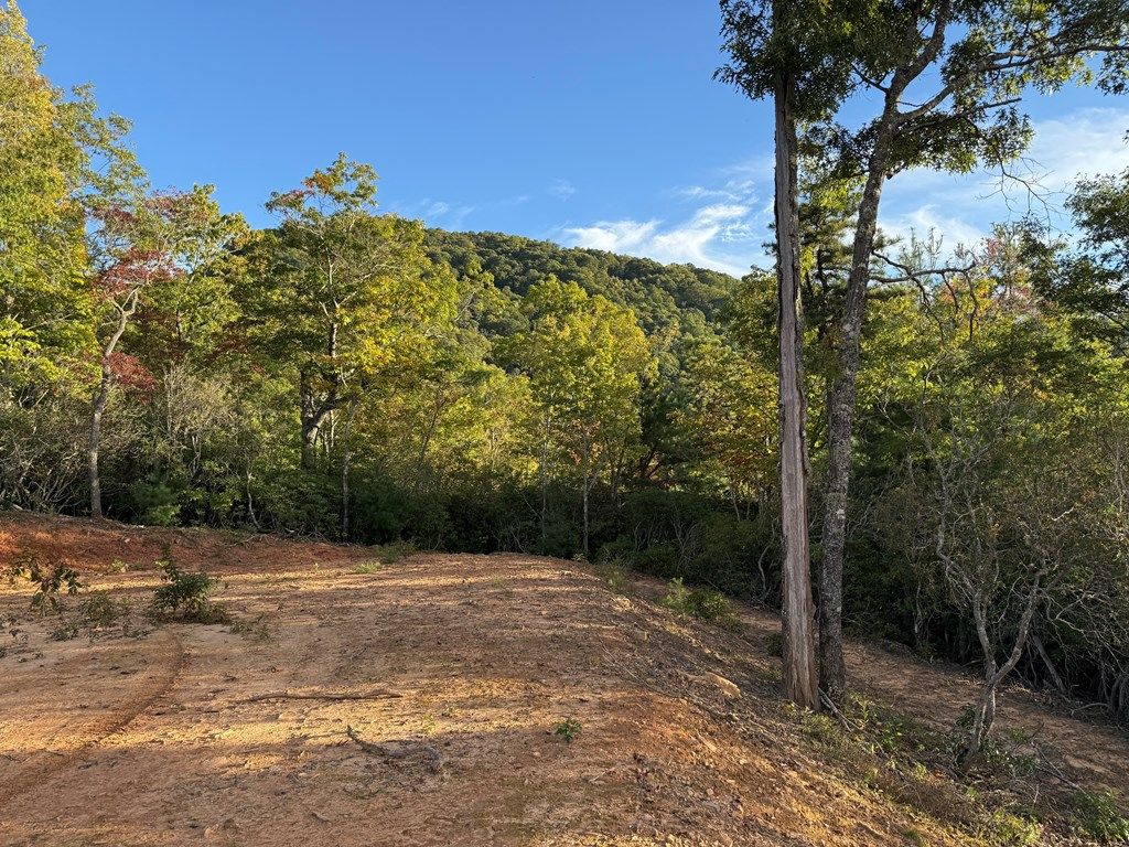 Photo of 536 Cardinal Bluff Road, Whittier, NC 28789 (MLS # 26042763)