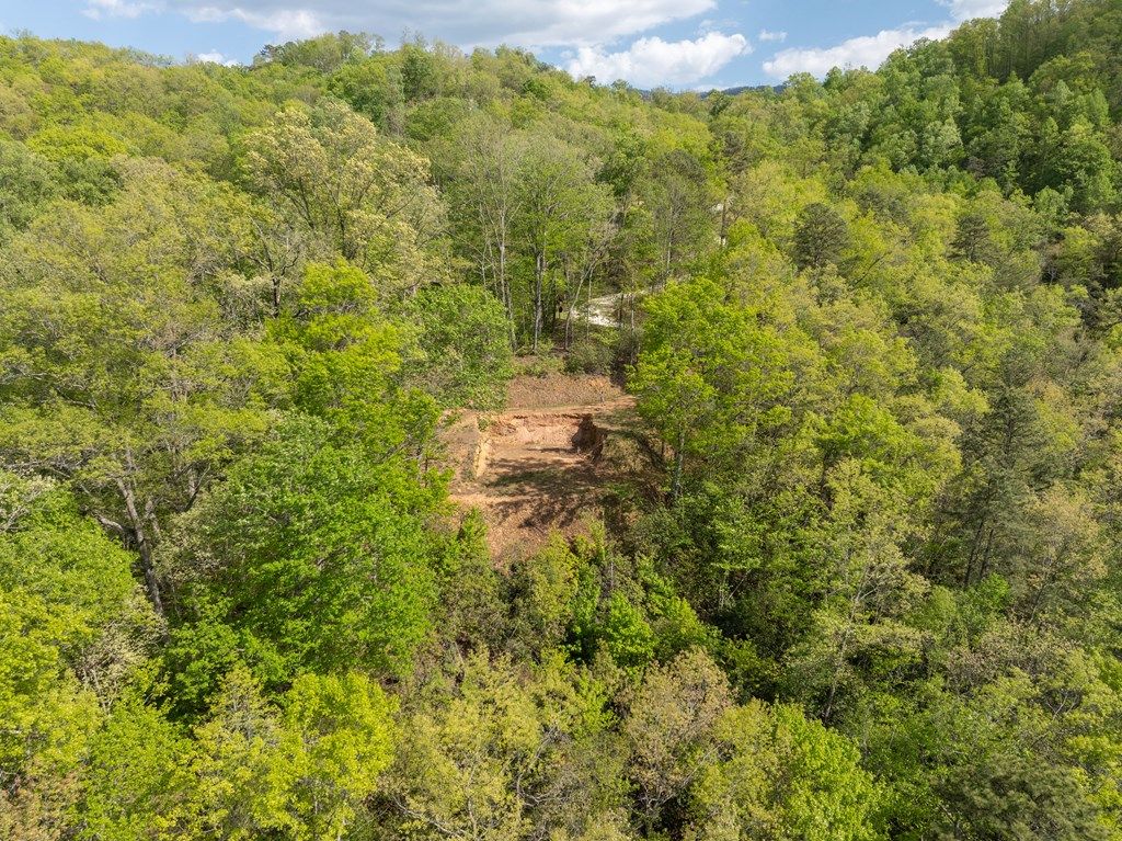 Photo of Lot 1 Breedlove Road, Bryson City, NC 28713 (MLS # 26047115)