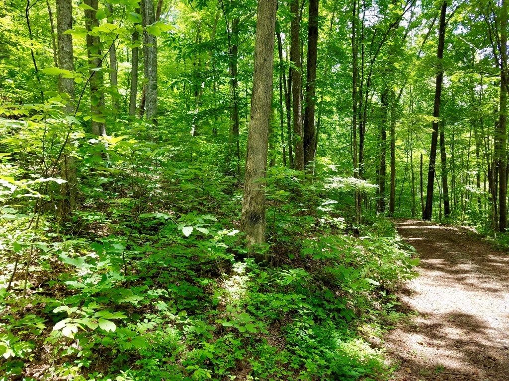 Photo of Lot 102 Mountain Vista, Bryson City, NC 28713 (MLS # 26037971)