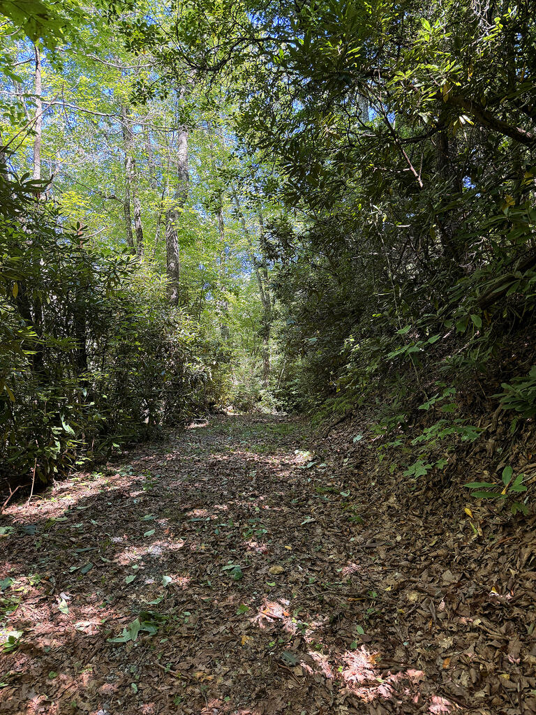 Photo of 13.4 Lacy Fern Ridge, Sylva, NC 28779 (MLS # 26048408)