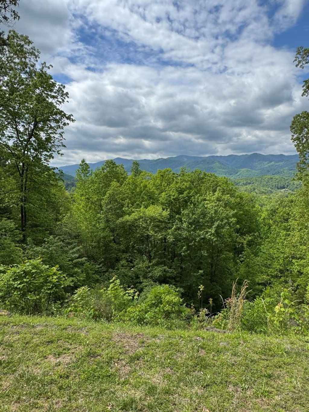 Photo of 257 Trading Post Place, Whittier, NC 28789 (MLS # 26047133)