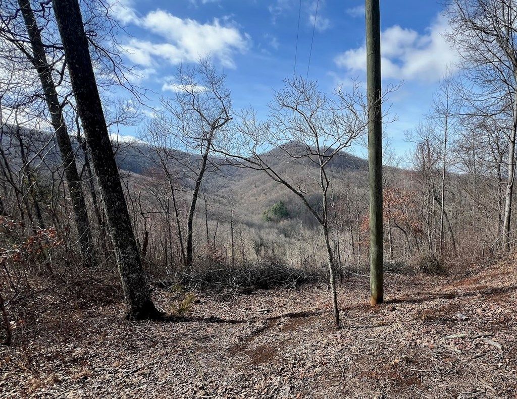 Photo of 000 Wedgewood Cove, Sylva, NC 28779 (MLS # 26041923)