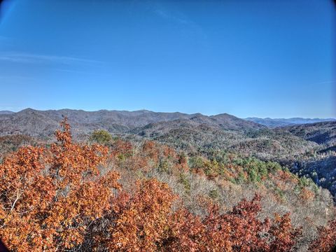 Photo of 324 Little Bear Rd, Bryson City, NC 28713 (MLS # 26042796)