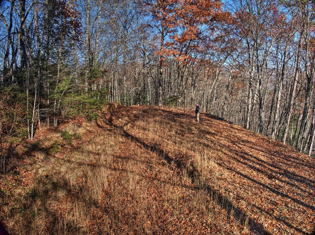 Photo of 324 Little Bear Rd, Bryson City, NC 28713 (MLS # 26042796)