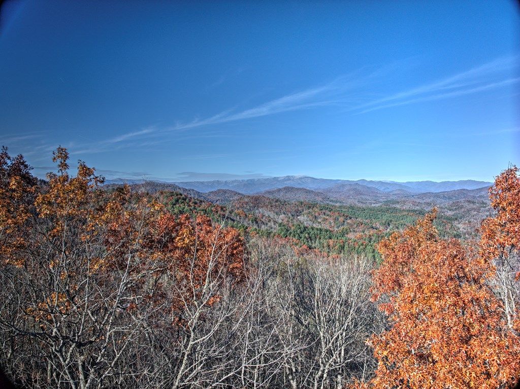 Photo of 324 Little Bear Rd, Bryson City, NC 28713 (MLS # 26042796)