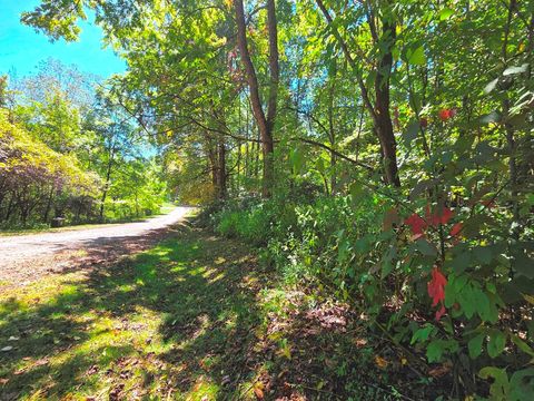 Photo of 123 Live Oak Lp Loop, Waynesville, NC 28785 (MLS # 26042321)