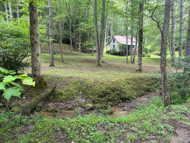 0 Mountain Forest Estates Road