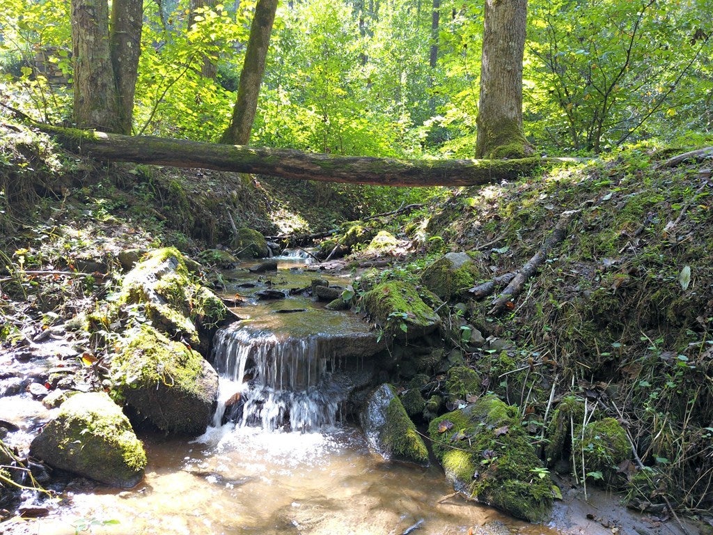 0 Mountain Forest Estates Road