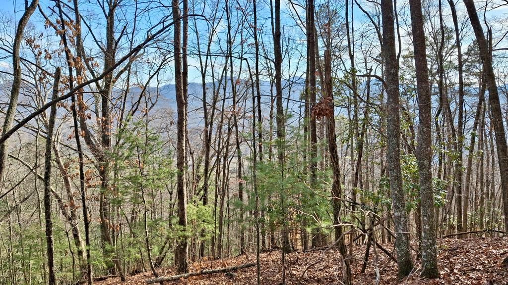 Photo of 0 Briarwood Road, Webster, NC 28788 (MLS # 26045290)