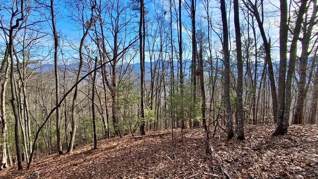 Photo of 0 Briarwood Road, Webster, NC 28788 (MLS # 26045290)