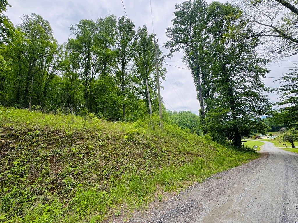 Photo of 0 Jericho Rd, Whittier, NC 28789 (MLS # 26041839)