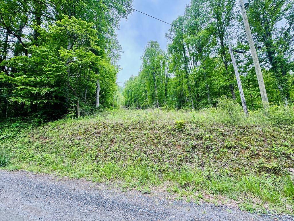 Photo of 0 Jericho Rd, Whittier, NC 28789 (MLS # 26041839)