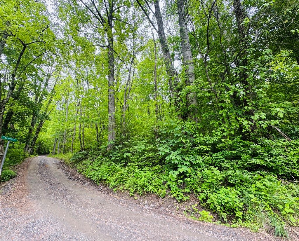 Photo of 0 Jericho Rd, Whittier, NC 28789 (MLS # 26041839)