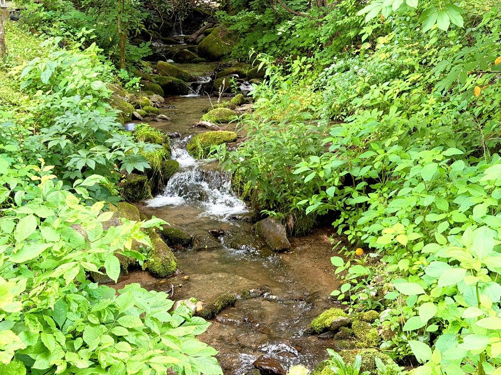 Photo of 11 Collins Cove, Robbinsville, NC 28771 (MLS # 26047560)