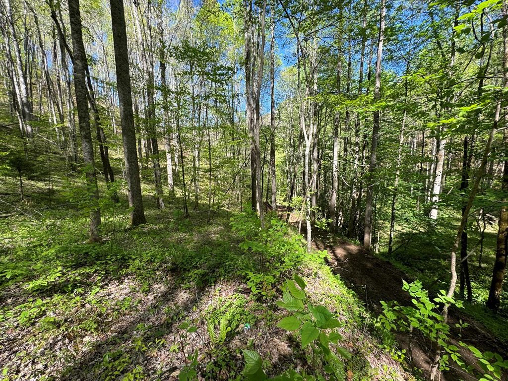 Photo of 0 East Silvermine, Bryson City, NC 28713 (MLS # 26036465)