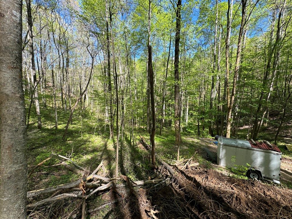 Photo of 0 East Silvermine, Bryson City, NC 28713 (MLS # 26036465)