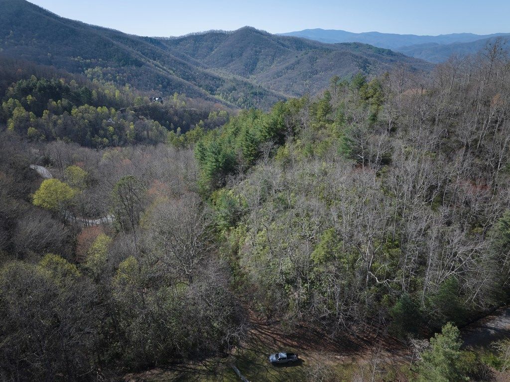 Photo of 0 Conley Mountain Association Rd, Whittier, NC 28713 (MLS # 26040540)