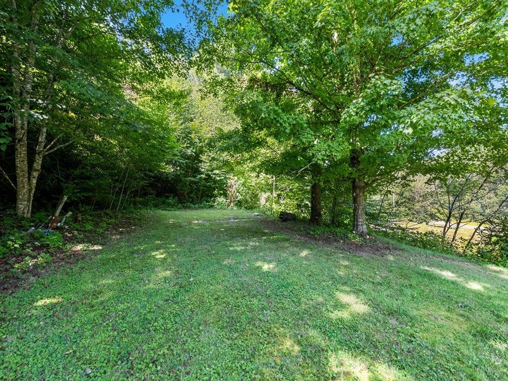 Photo of 4 &amp; 20 Plott Balsam Road, Maggie Valley, NC 28751 (MLS # 26045232)