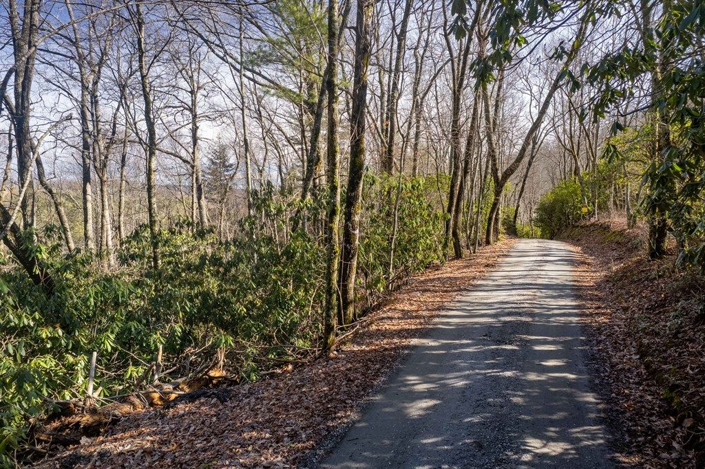 Photo of 00 Wolf Knob Road, Cullowhee, NC 28723 (MLS # 26045423)