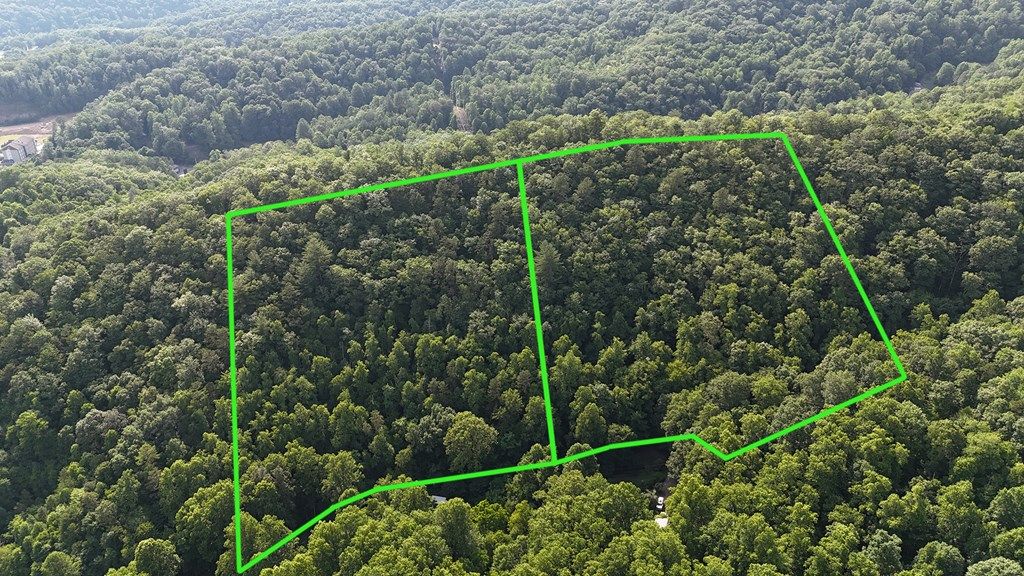 Photo of Lot B Bart Cove Rd, Dillsboro, NC 28779 (MLS # 26041478)