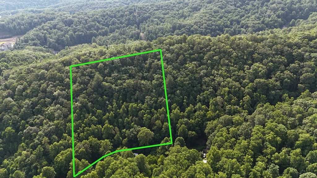 Photo of Lot B Bart Cove Rd, Dillsboro, NC 28779 (MLS # 26041478)