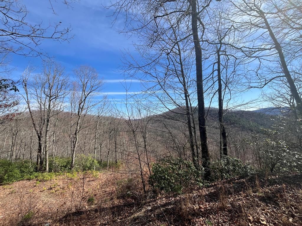 Photo of 00 Crisscross Lane, Lots 20, 21, Tuckasegee, NC 28783 (MLS # 26046592)