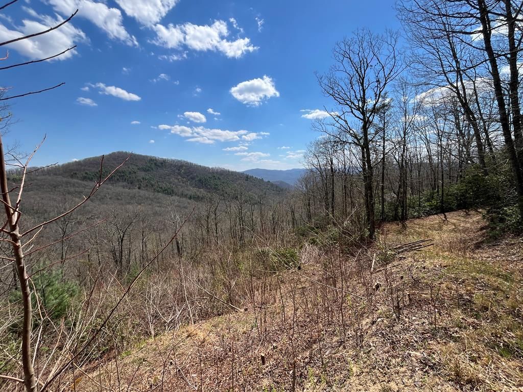 Photo of 00 Crisscross Lane, Lots 20, 21, Tuckasegee, NC 28783 (MLS # 26046592)