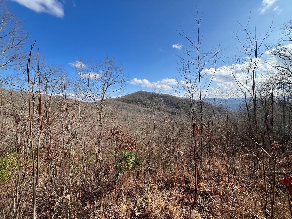 Photo of 00 Crisscross Lane, Lots 20, 21, Tuckasegee, NC 28783 (MLS # 26046592)