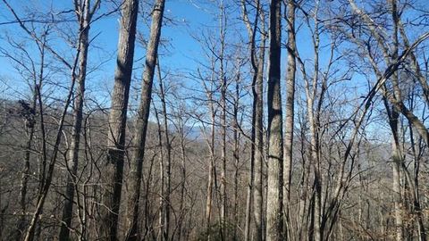 Photo of Lot 38 Cave Springs Rd, Cullowhee, NC 28723 (MLS # 26046824)