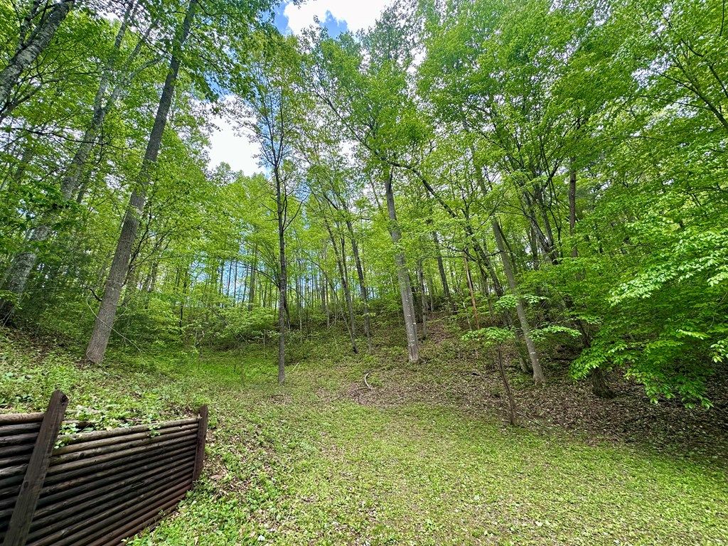 Photo of 260 Prince Boat Dock Rd, Almond, NC 28702 (MLS # 26040808)