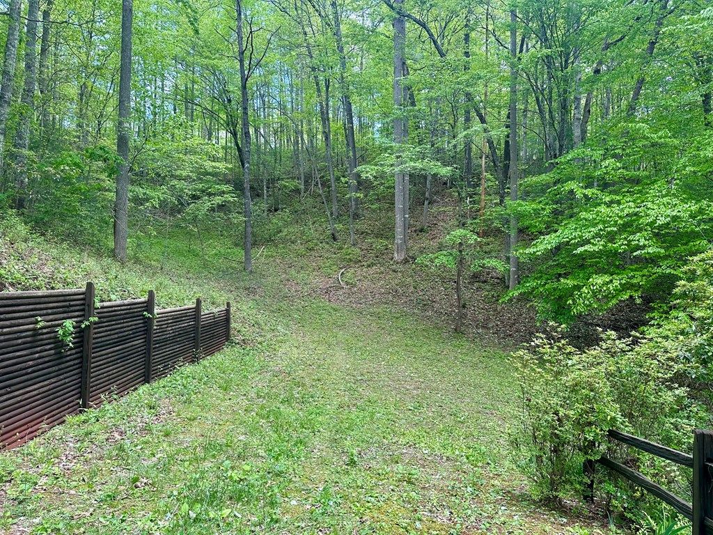 Photo of 260 Prince Boat Dock Rd, Almond, NC 28702 (MLS # 26040808)