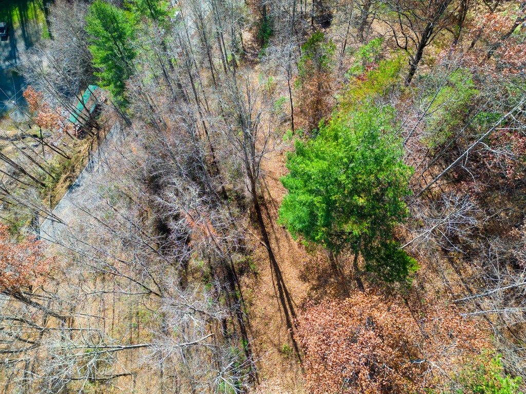 Photo of 2611 Wayehutta Rd, Cullowhee, NC 28723 (MLS # 26047392)