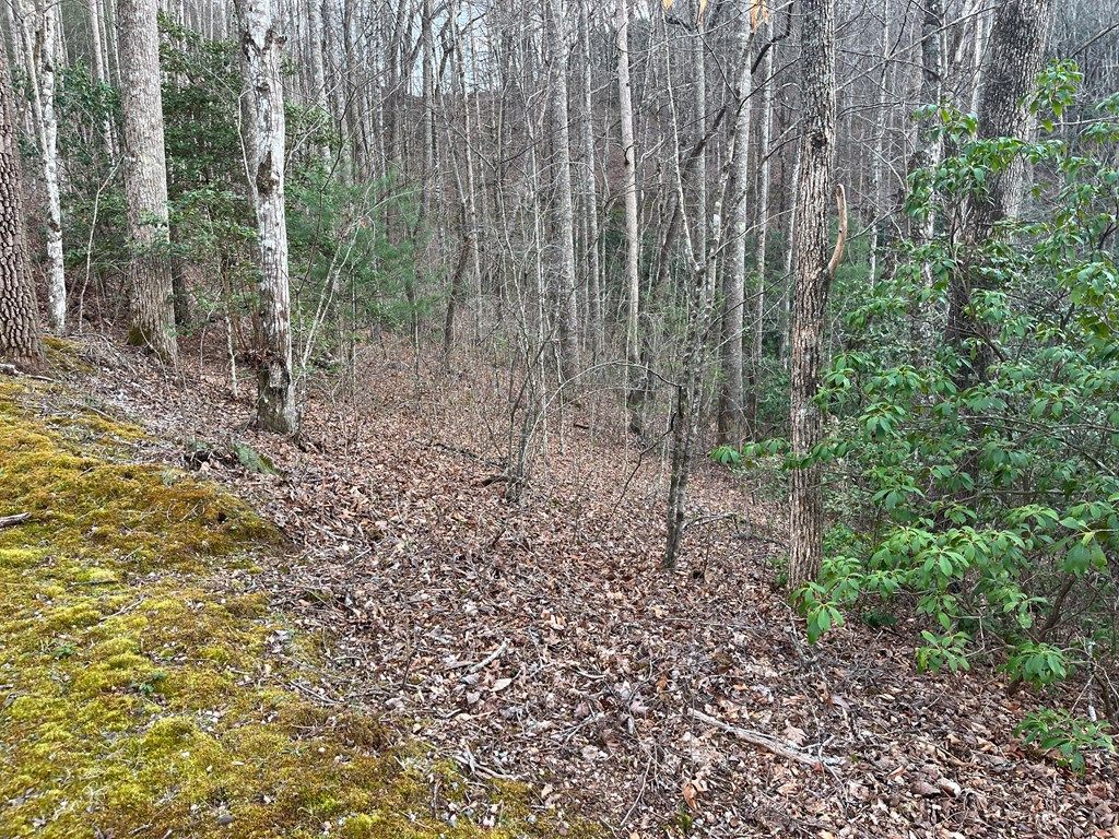 Photo of 70 Canvasback Ct, Whittier, NC 28789 (MLS # 26046969)