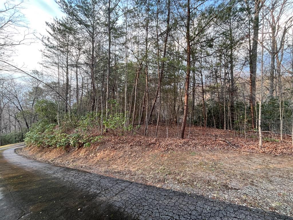 Photo of 70 Canvasback Ct, Whittier, NC 28789 (MLS # 26046969)