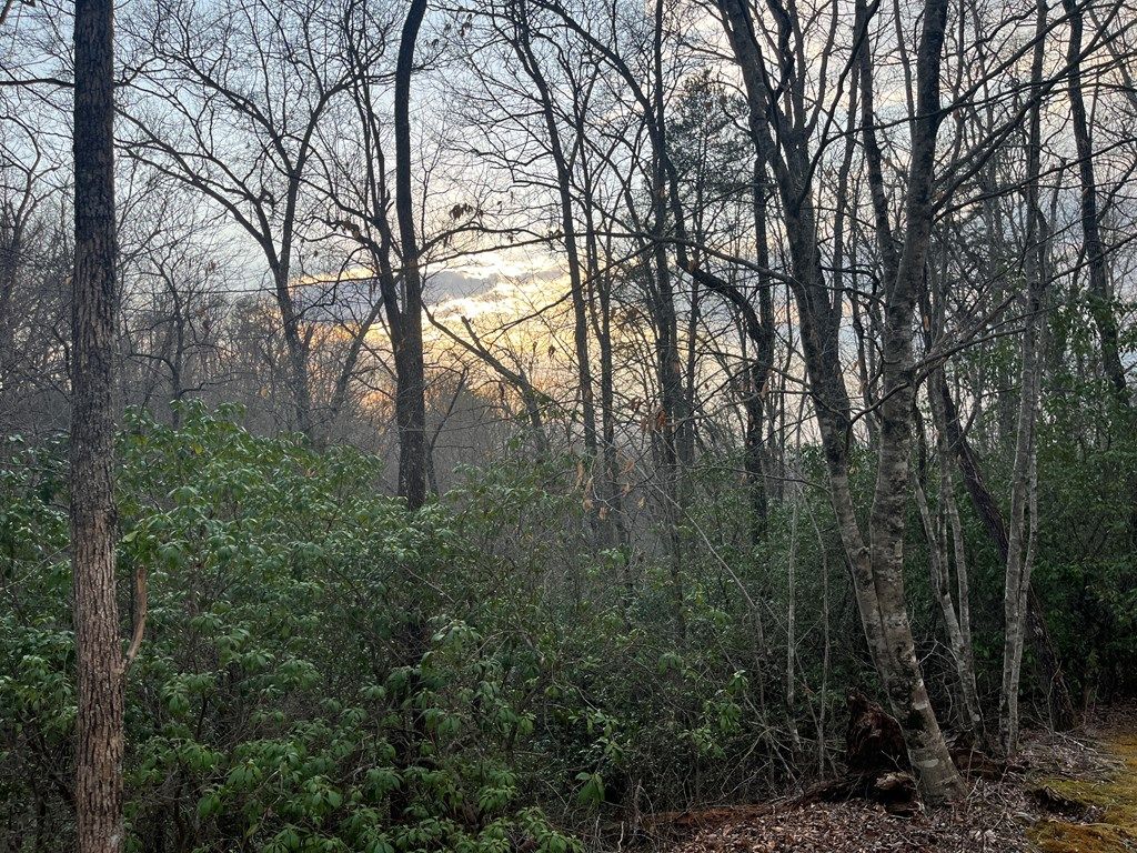 Photo of 70 Canvasback Ct, Whittier, NC 28789 (MLS # 26046969)