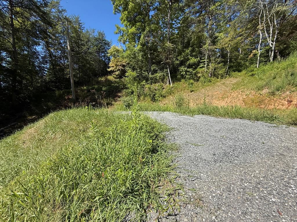 Photo of 4B Dakota Way, Bryson City, NC 28713 (MLS # 26042021)