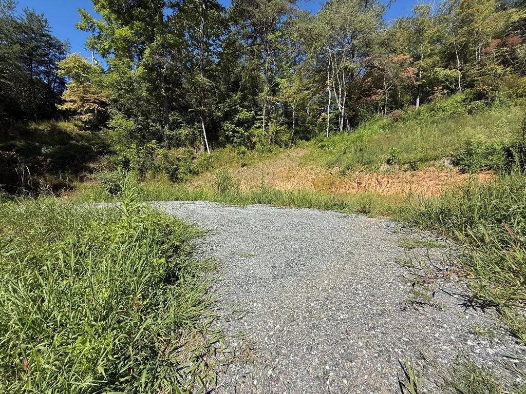 Photo of 4B Dakota Way, Bryson City, NC 28713 (MLS # 26042021)