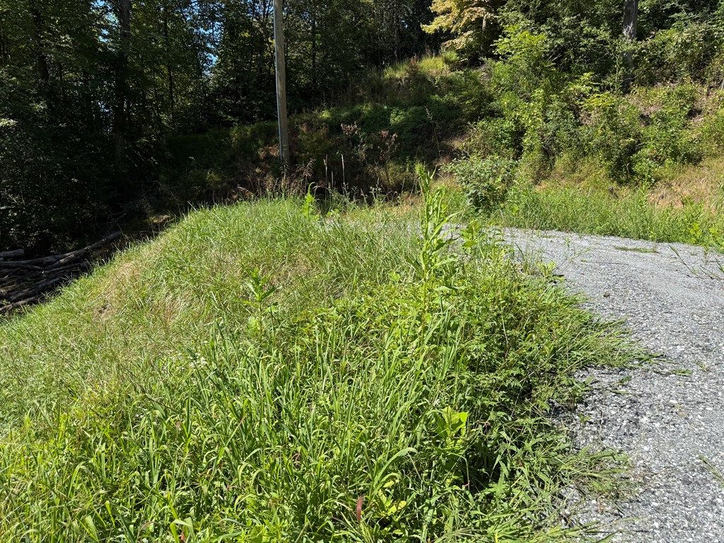 Photo of 4B Dakota Way, Bryson City, NC 28713 (MLS # 26042021)